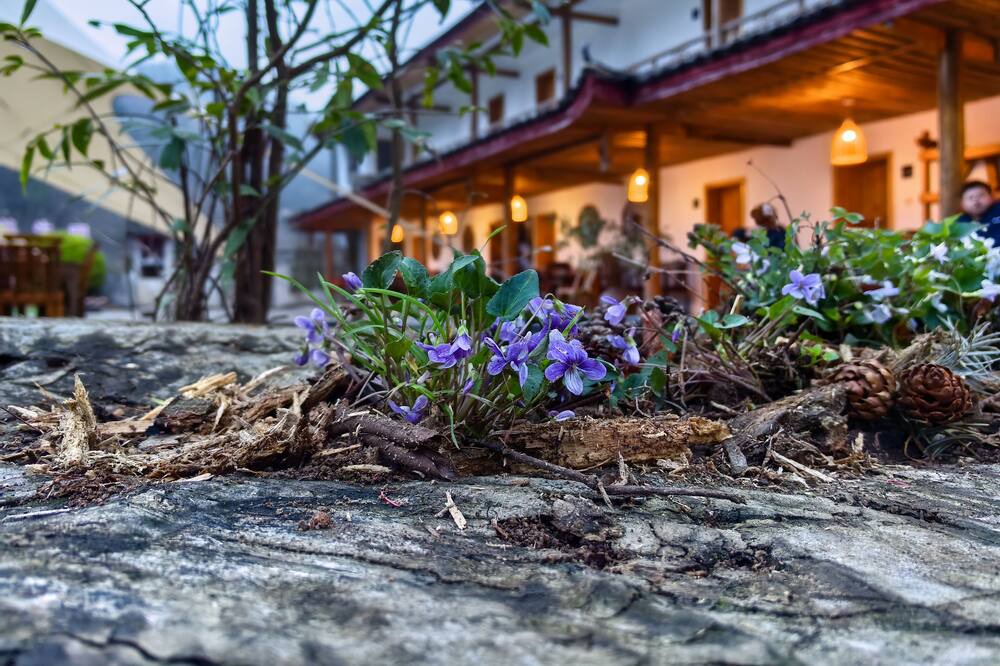 Photo of Outdoor in Wulingyuan
