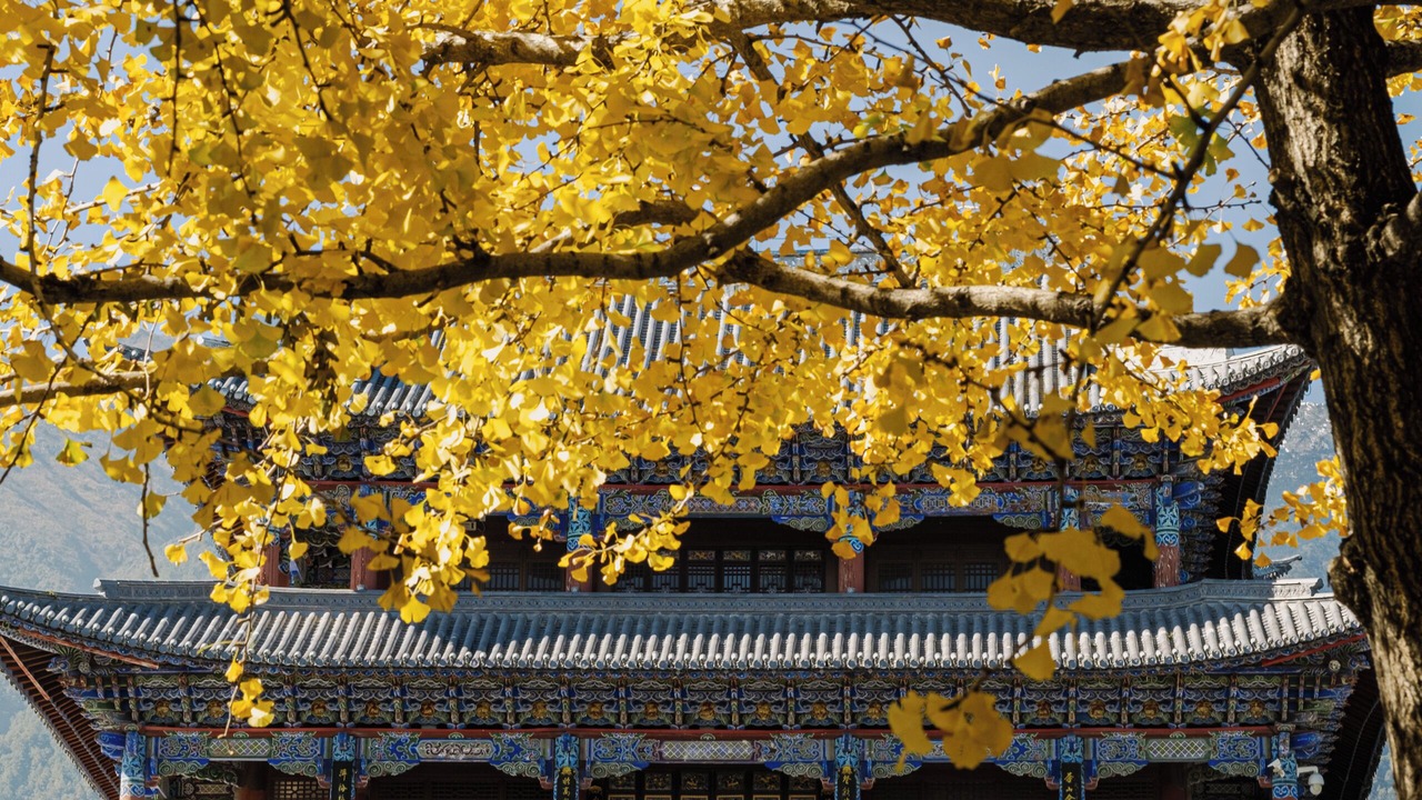 Photo of Outdoor in Dali Ancient Town