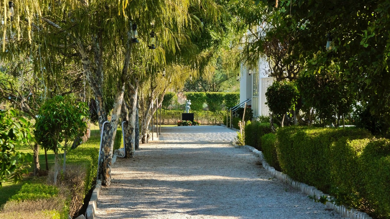 Photo of Outdoor in Honkra