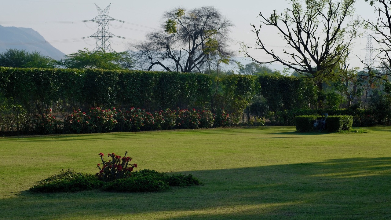 Photo of Outdoor in Honkra