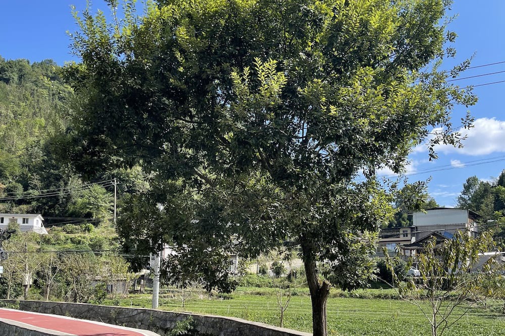 Photo of Outdoor in Enshi