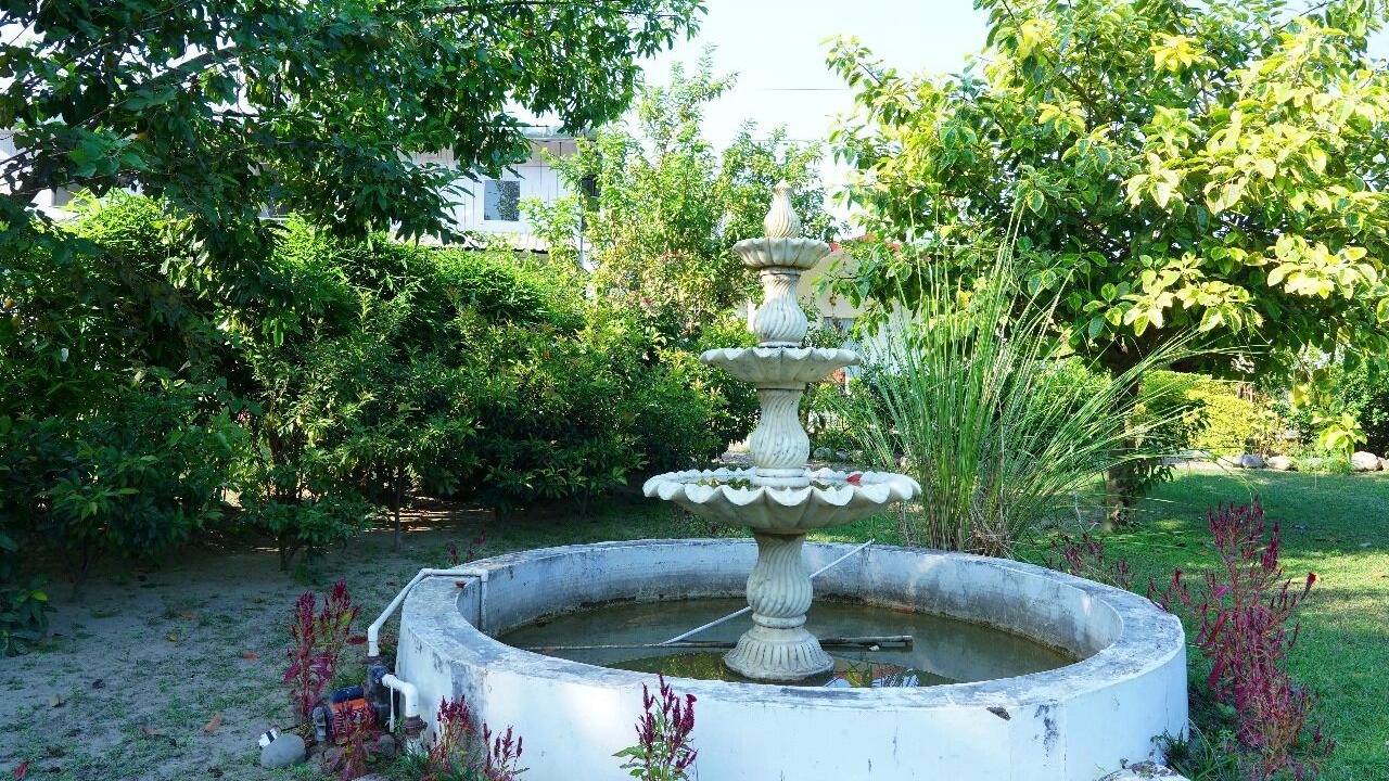 Photo of Outdoor in Palia