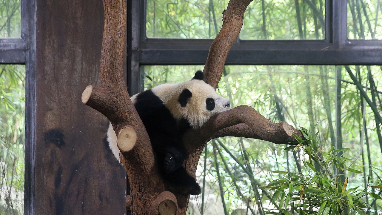 Photo of Others in Pudong