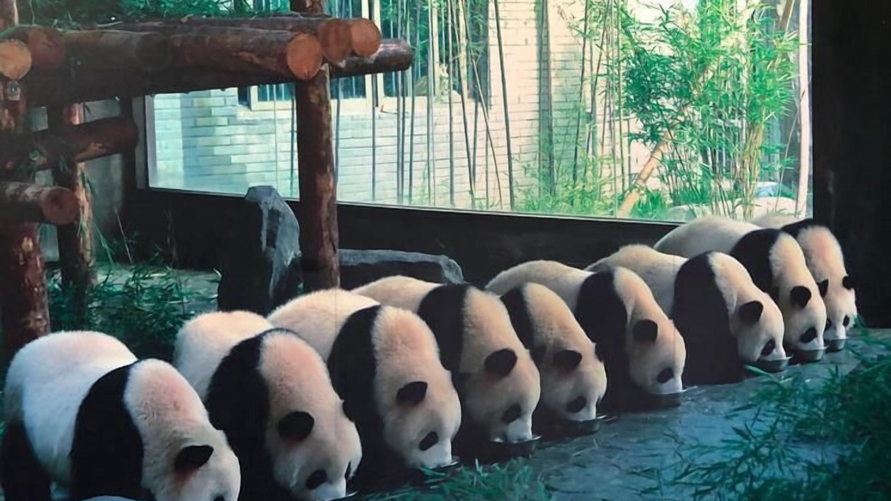 Photo of Others in Pudong