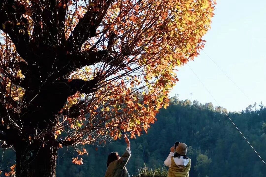 Photo of Outdoor in Lanping Bai and Pumi Autonomous County