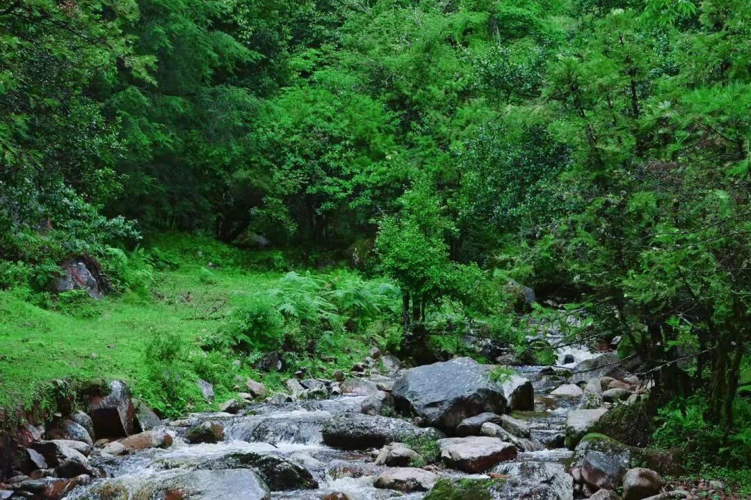 Photo of Outdoor in Lanping Bai and Pumi Autonomous County