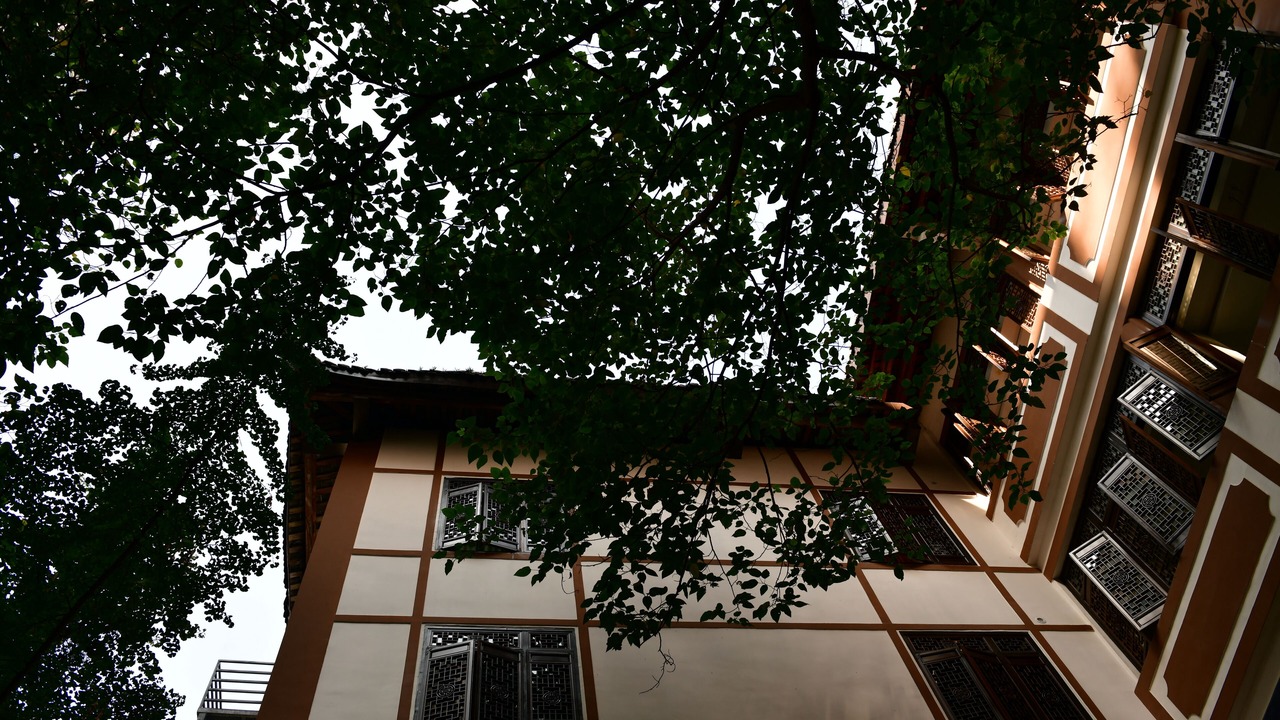Photo of Outdoor in Chengdu City Centre