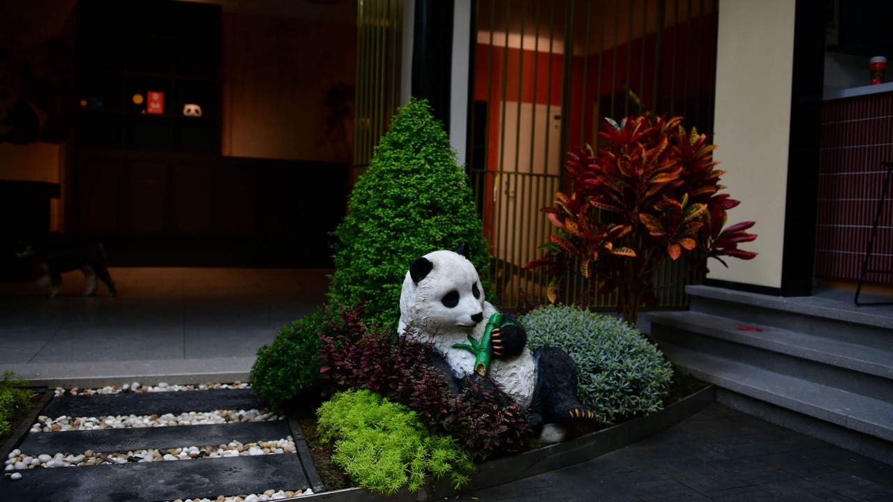 Photo of Outdoor in Chengdu City Centre