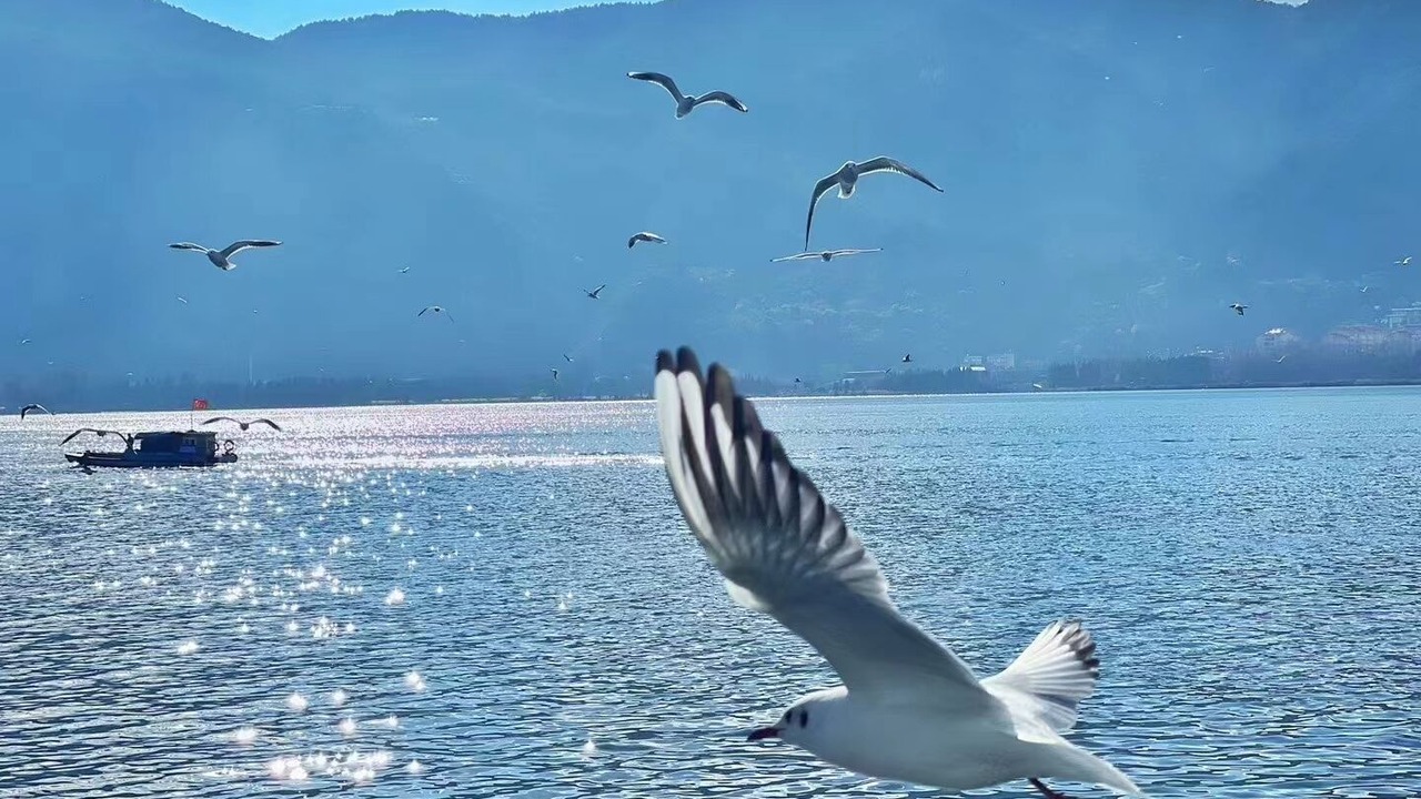 Photo of Others in Xishan