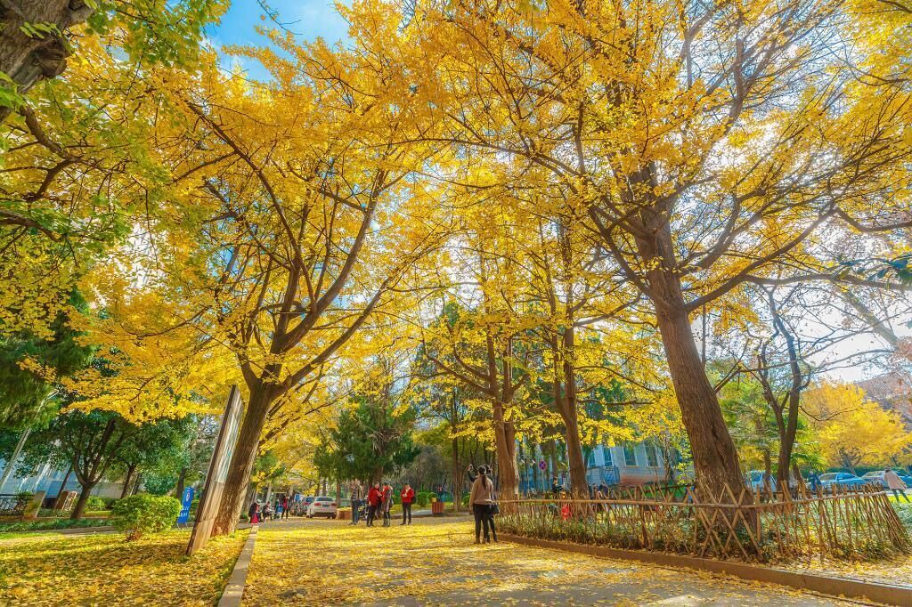 Photo of Others in Kunming City Centre