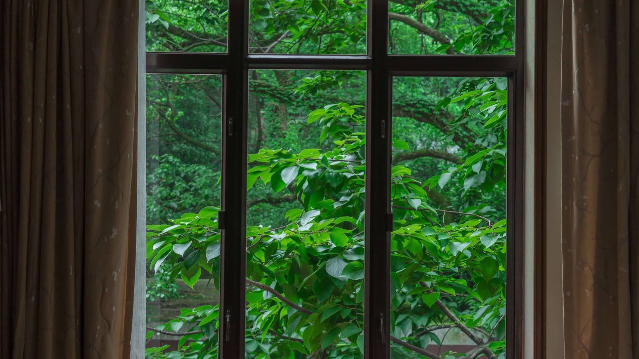 Photo of Bedroom in Xihu