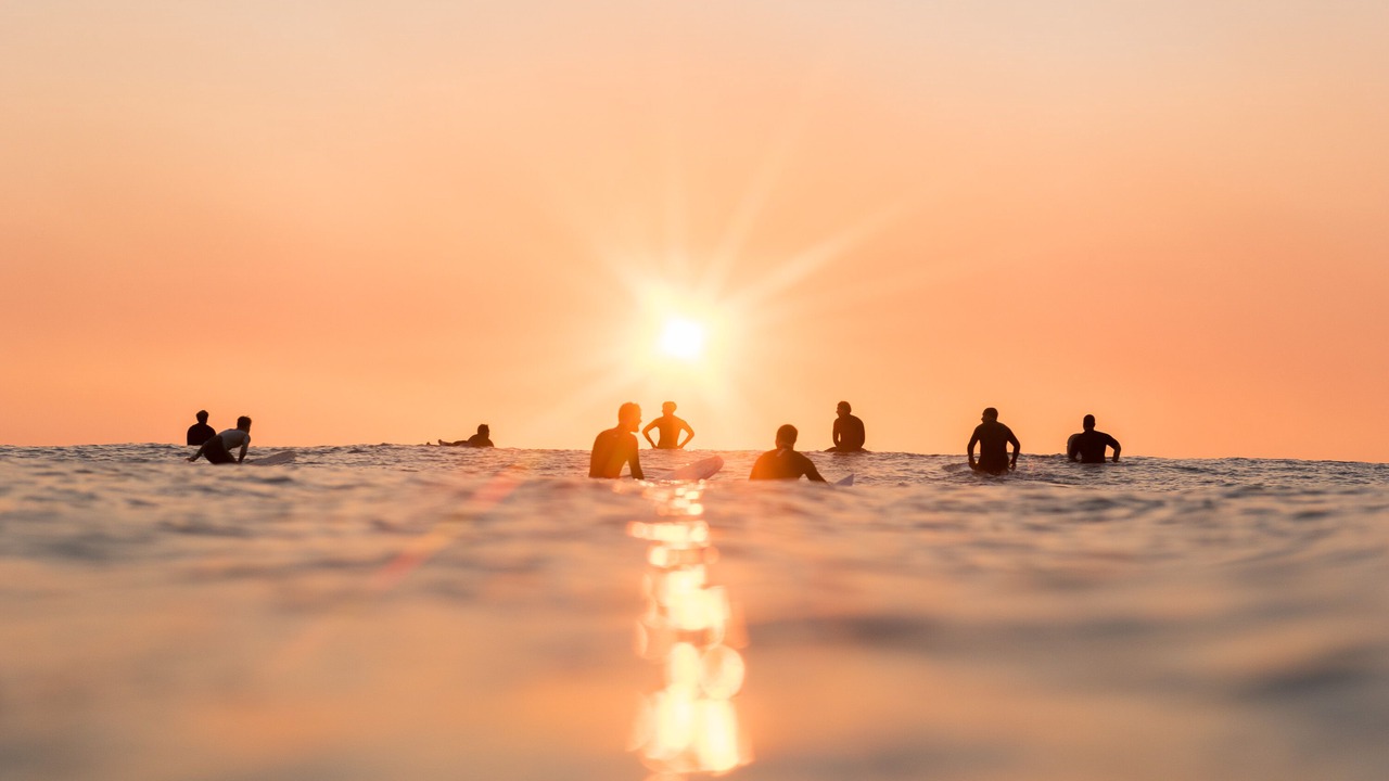Photo of Others in Manly