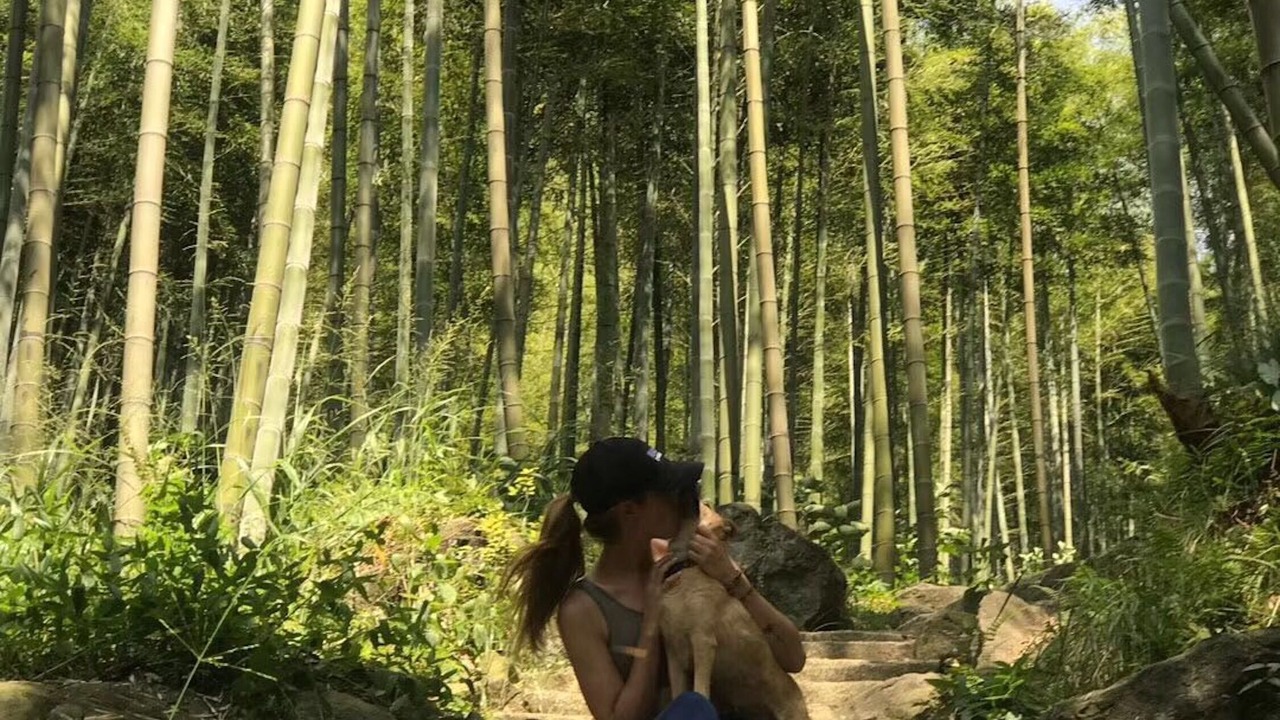 Photo of Outdoor in Moganshan
