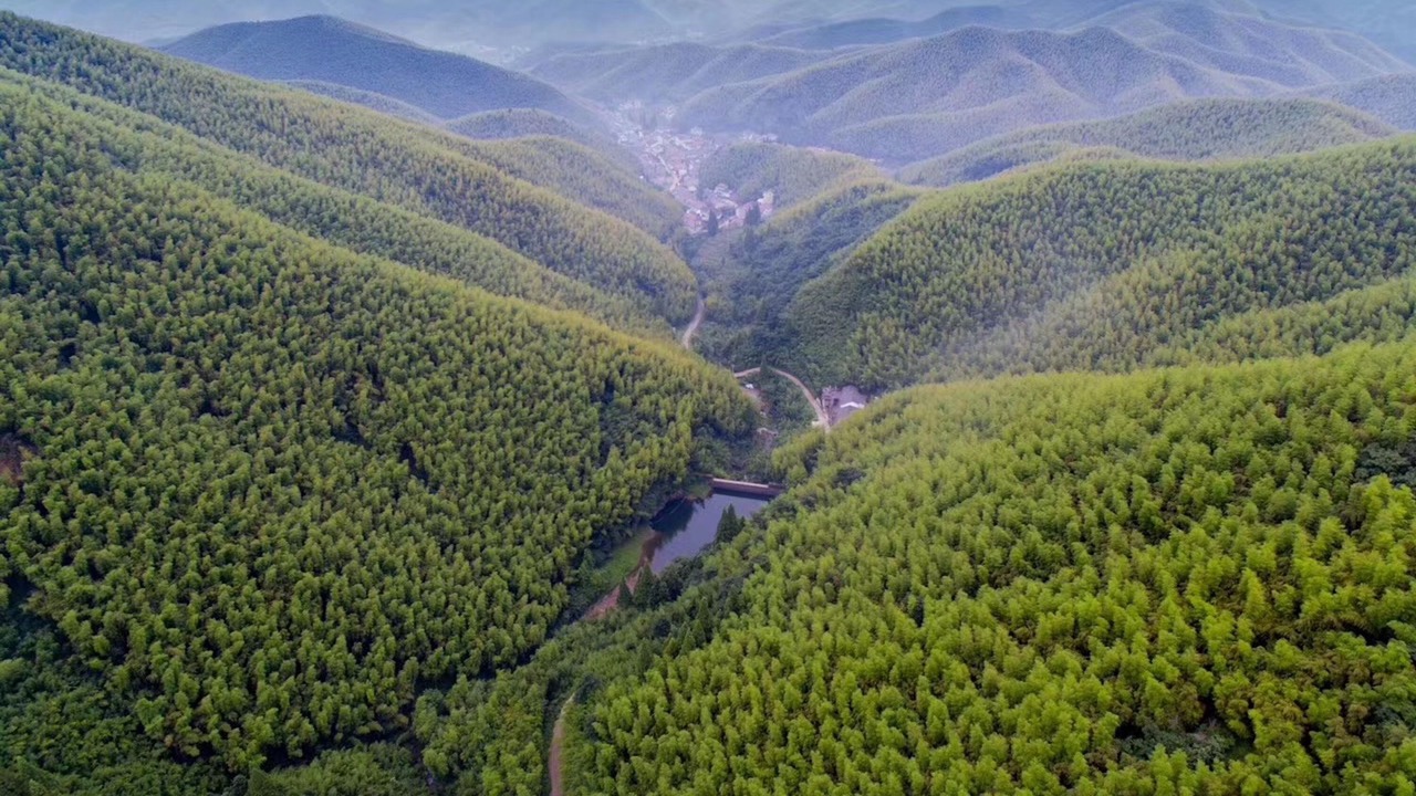 Photo of Outdoor in Moganshan