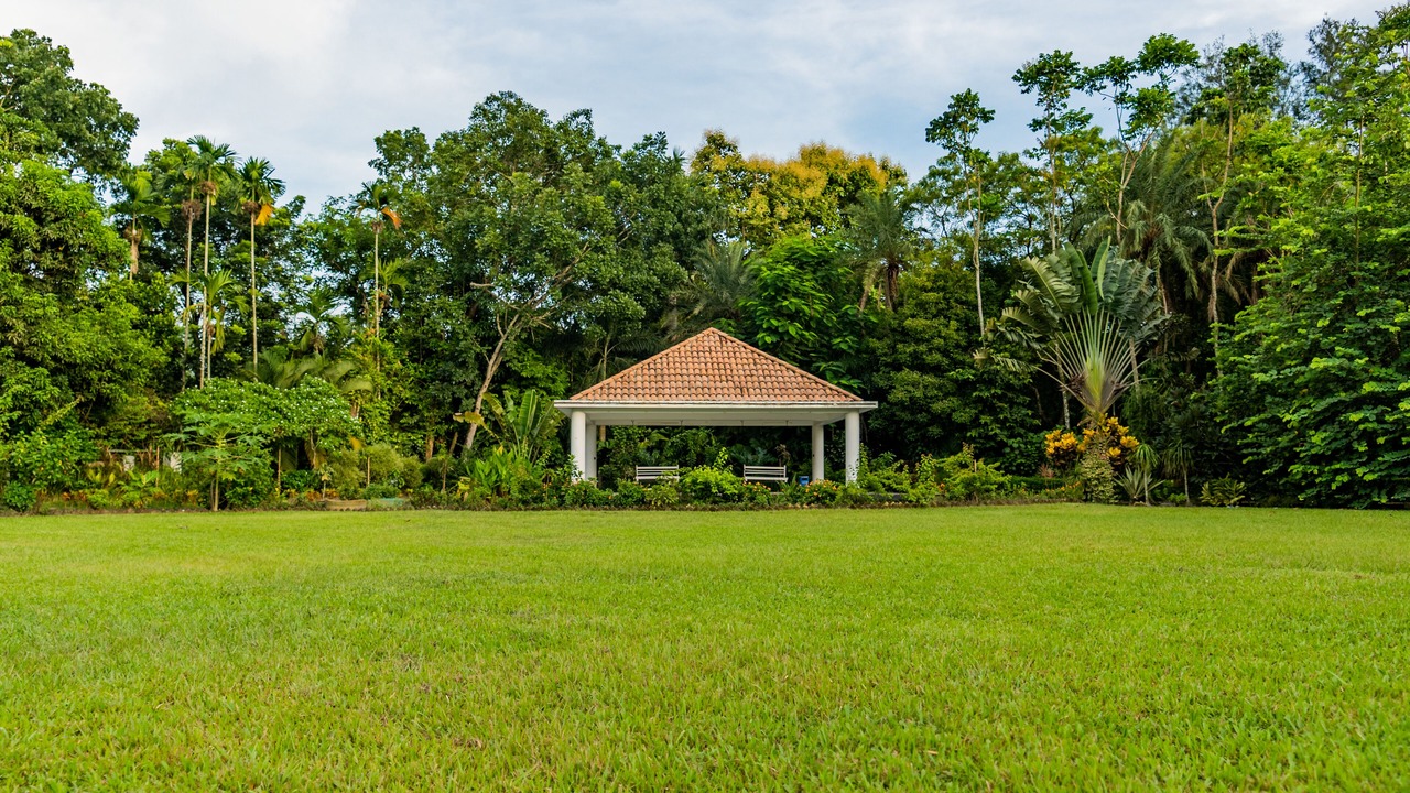 Photo of Outdoor in Tangail