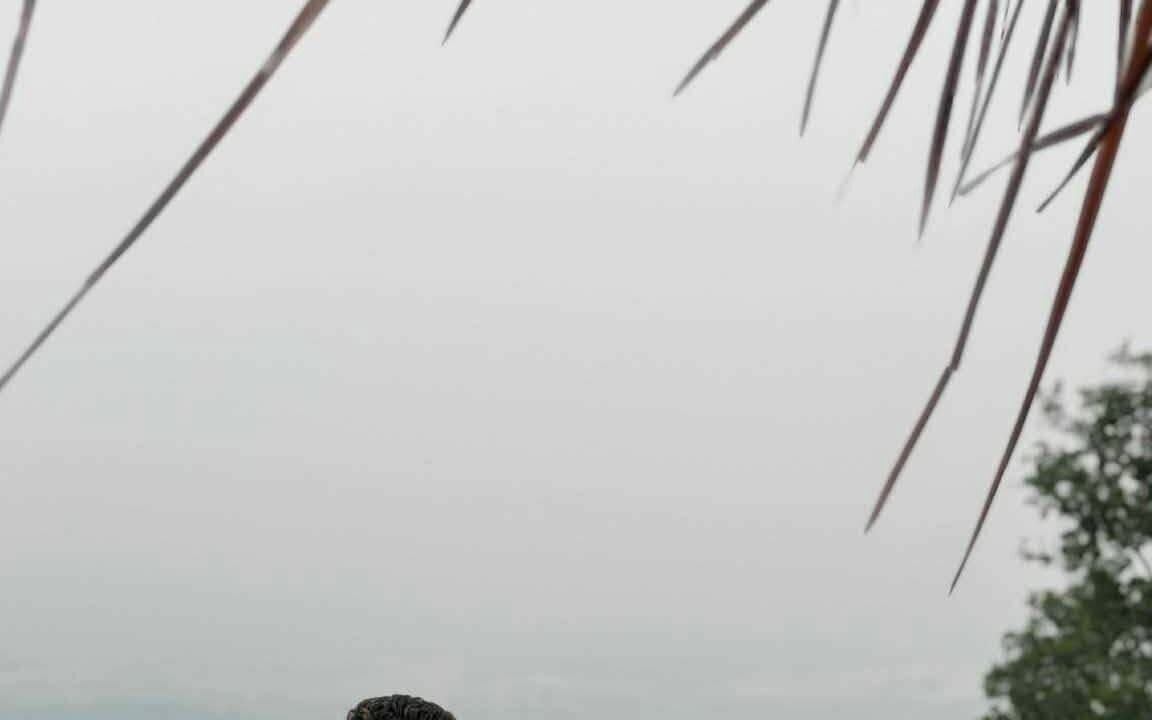 Photo of Patio Balcony in Rangamati Hill District
