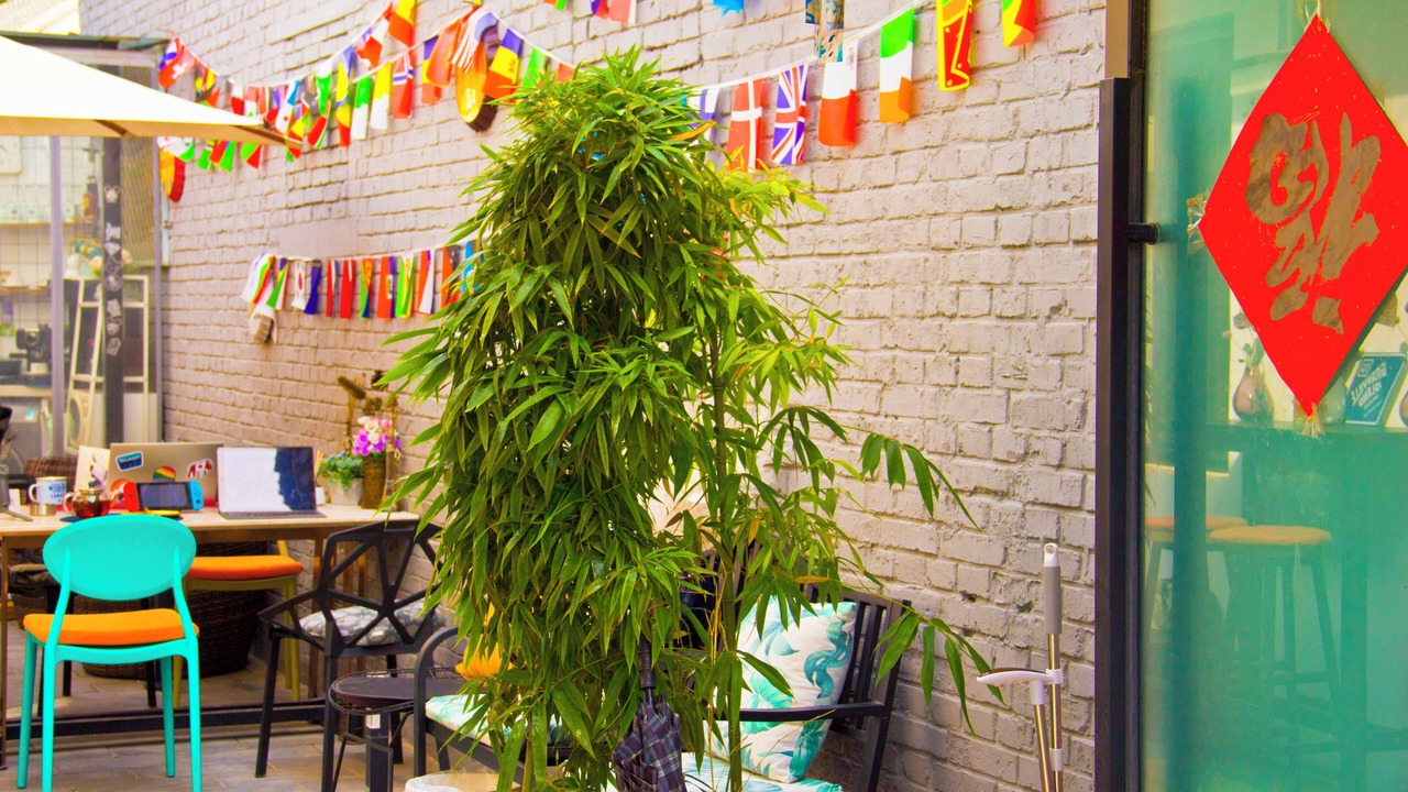 Photo of Outdoor in Downtown Beijing