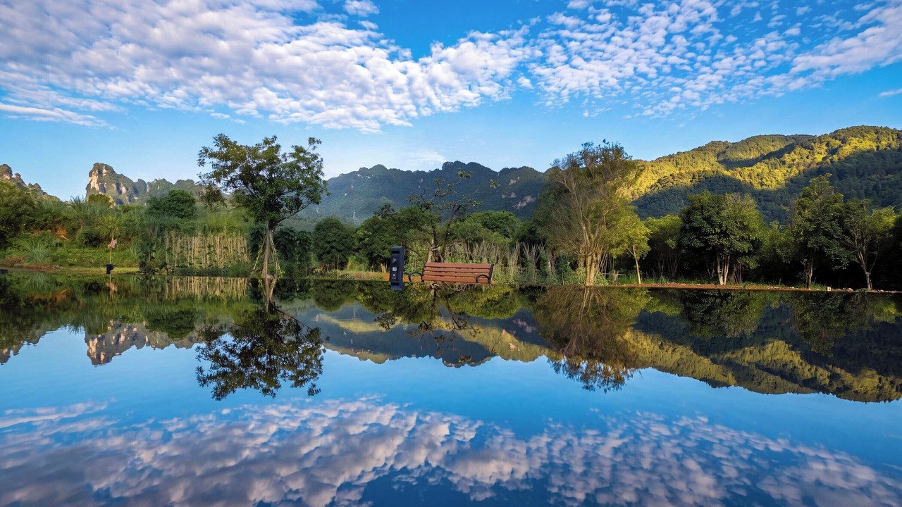 Photo of Others in Wulingyuan