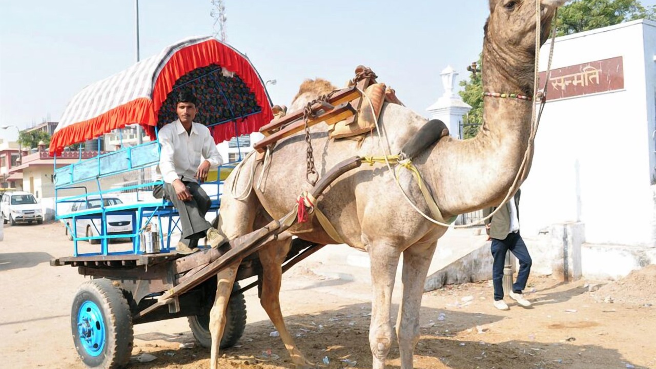 Photo of Others in Hindaun
