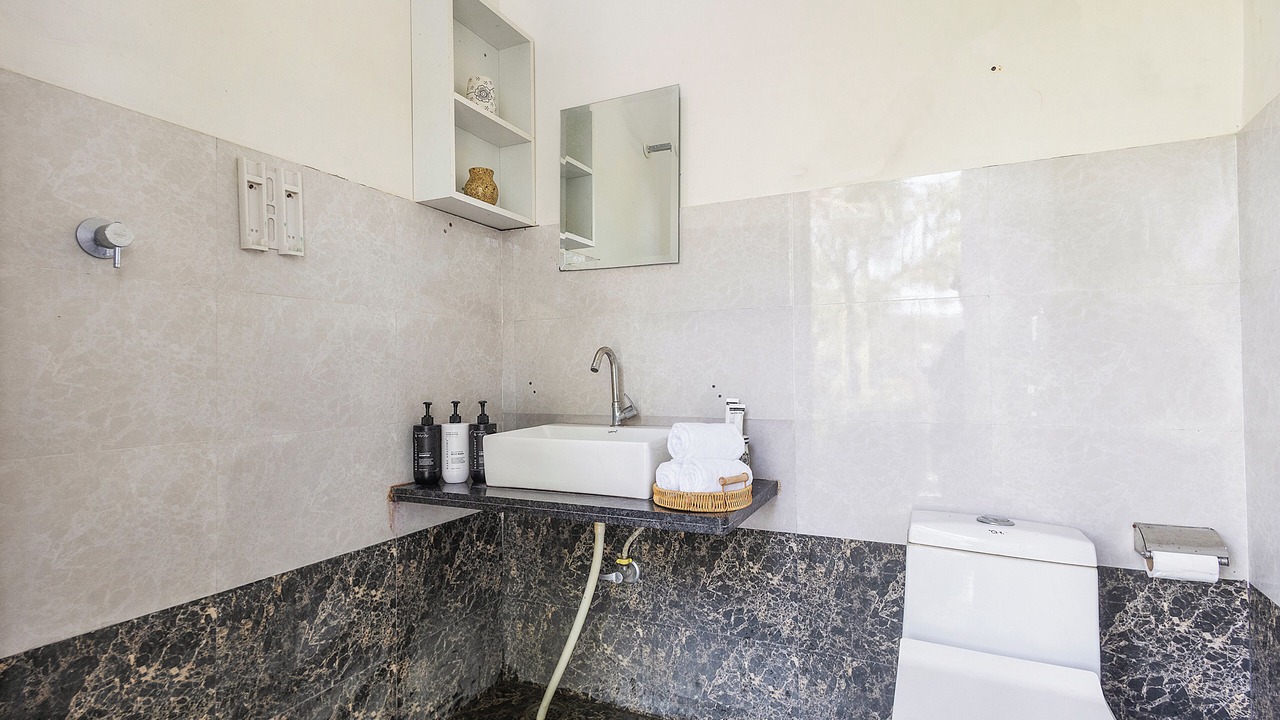 Photo of Bathroom in Sanganer