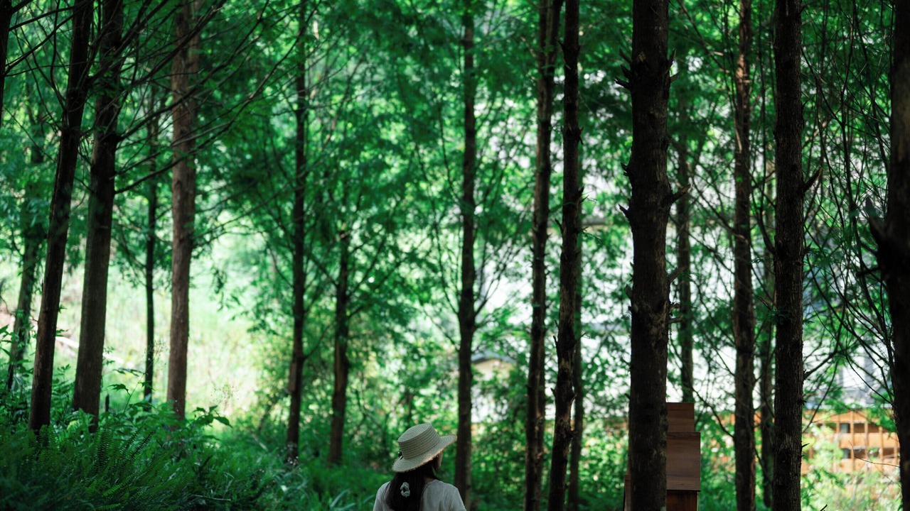 Photo of Others in Yucheng District