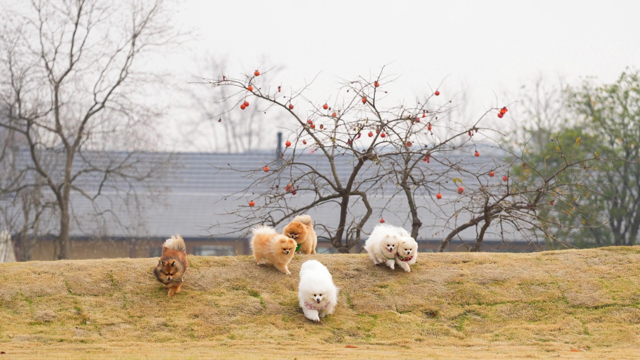 Photo of Outdoor in Anji