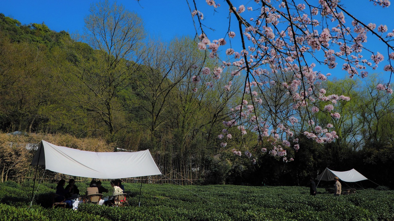 Photo of Outdoor in Xihu