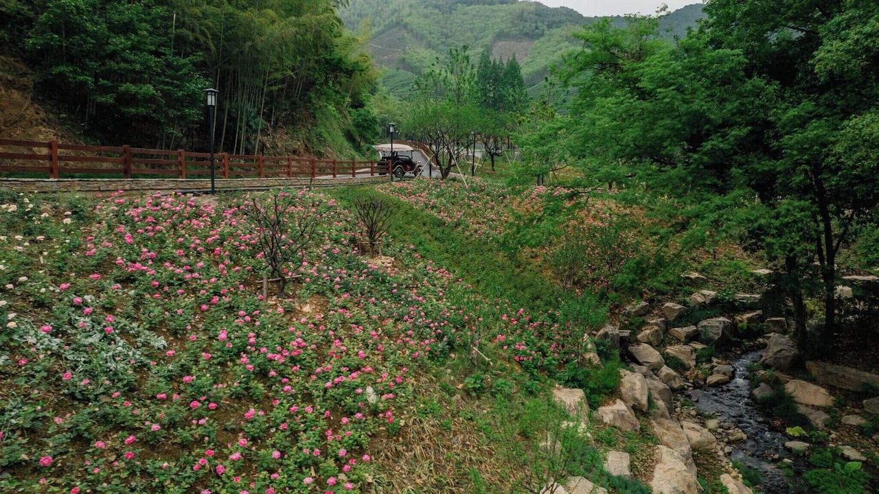 Photo of Outdoor in Moganshan