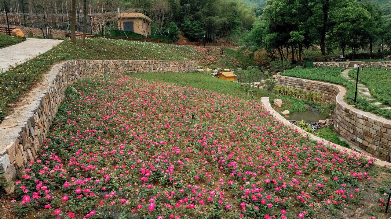 Photo of Outdoor in Moganshan