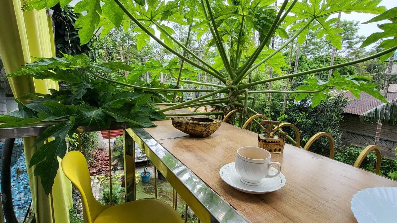 Photo of Patio Balcony in Dibrugarh