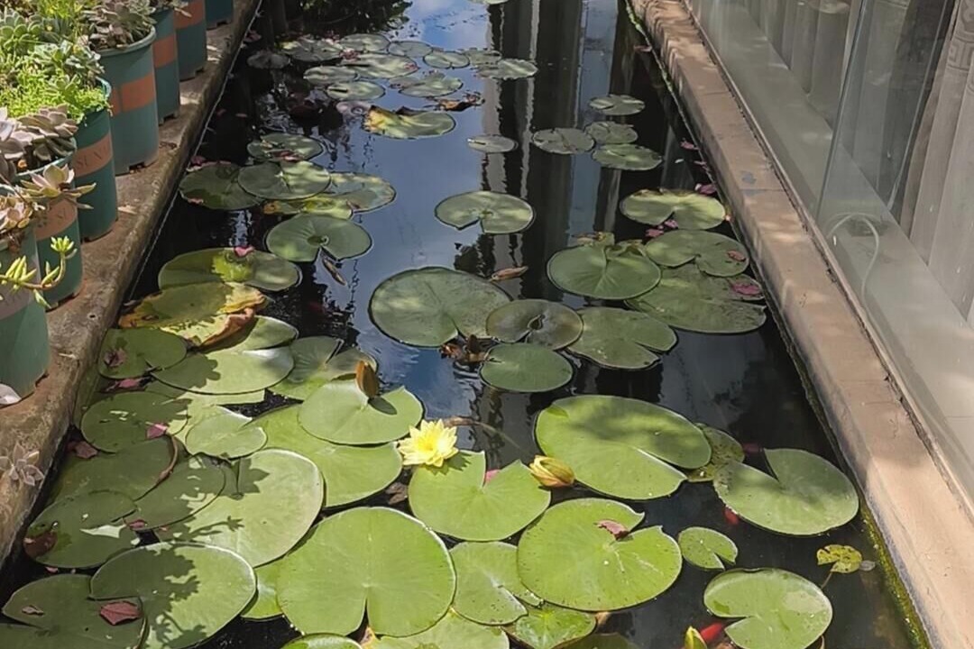 Photo of Outdoor in Guandu