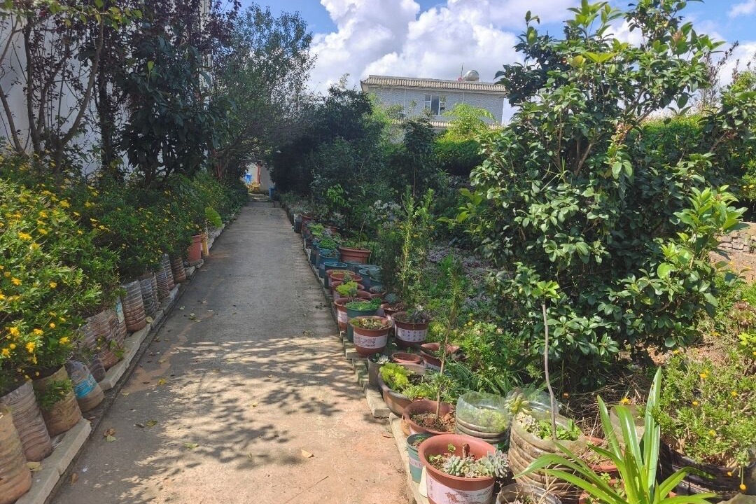 Photo of Outdoor in Guandu