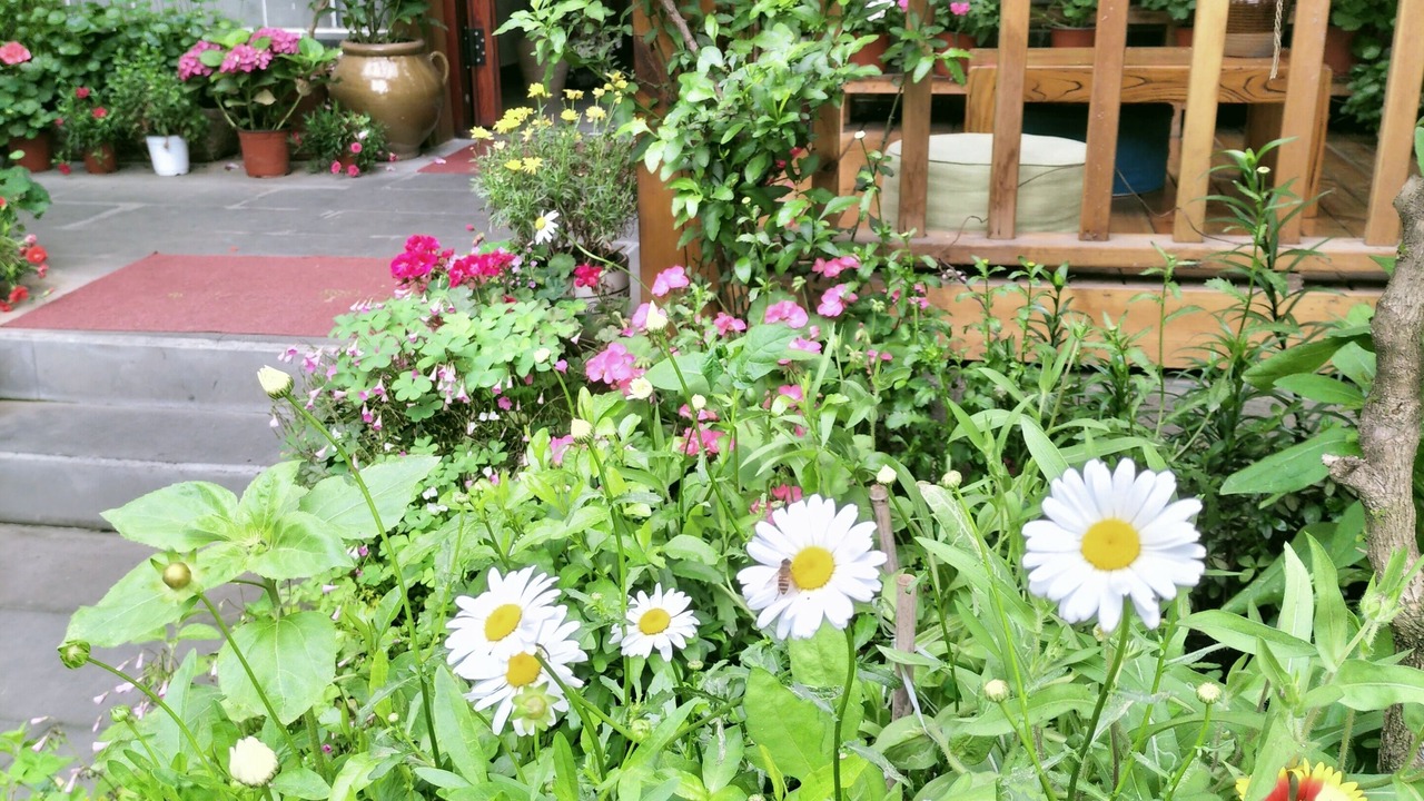 Photo of Outdoor in Dujiangyan