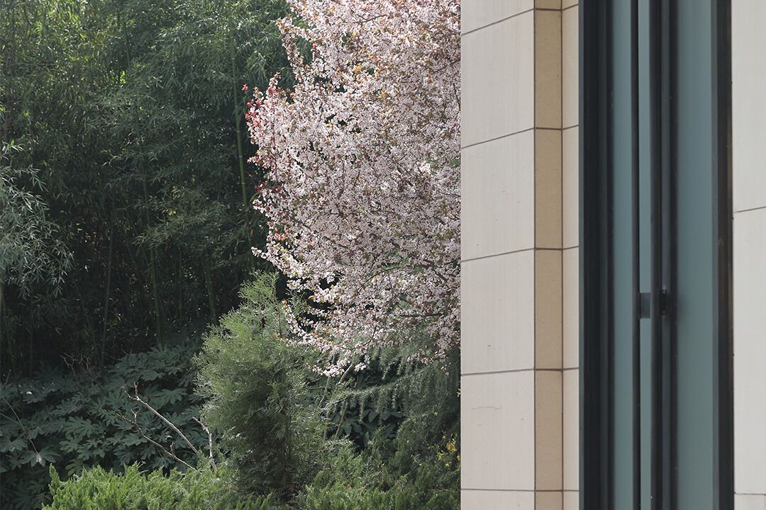 Photo of Outdoor in Qujiang New District