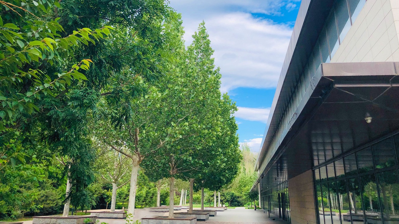 Photo of Outdoor in Shijingshan
