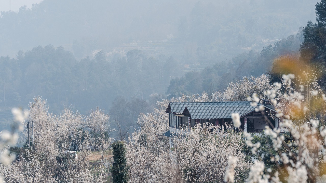 Photo of Outdoor in Pujiang County