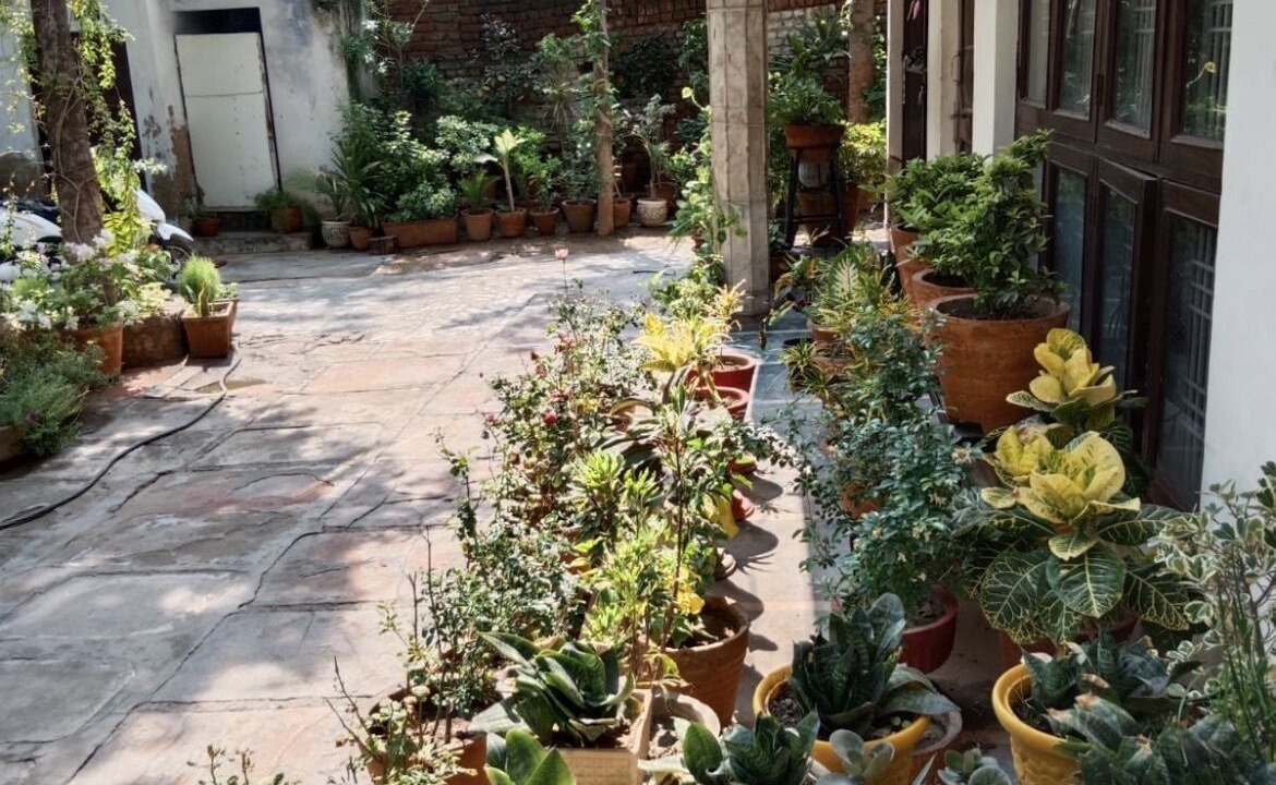 Photo of Outdoor in Taj Ganj