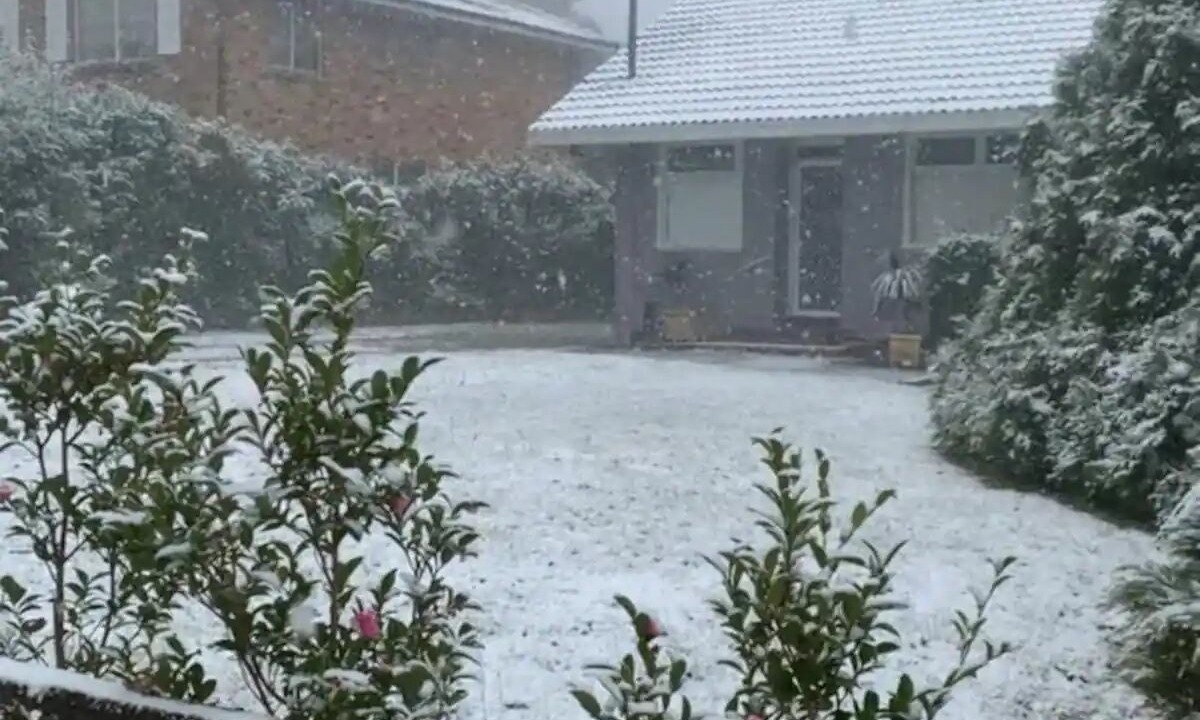 Photo of Outdoor in Katoomba