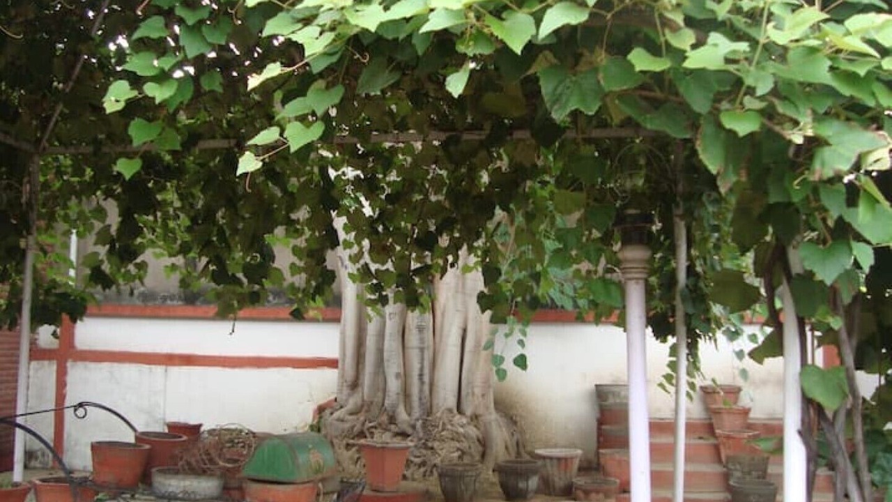 Photo of Outdoor in Agra