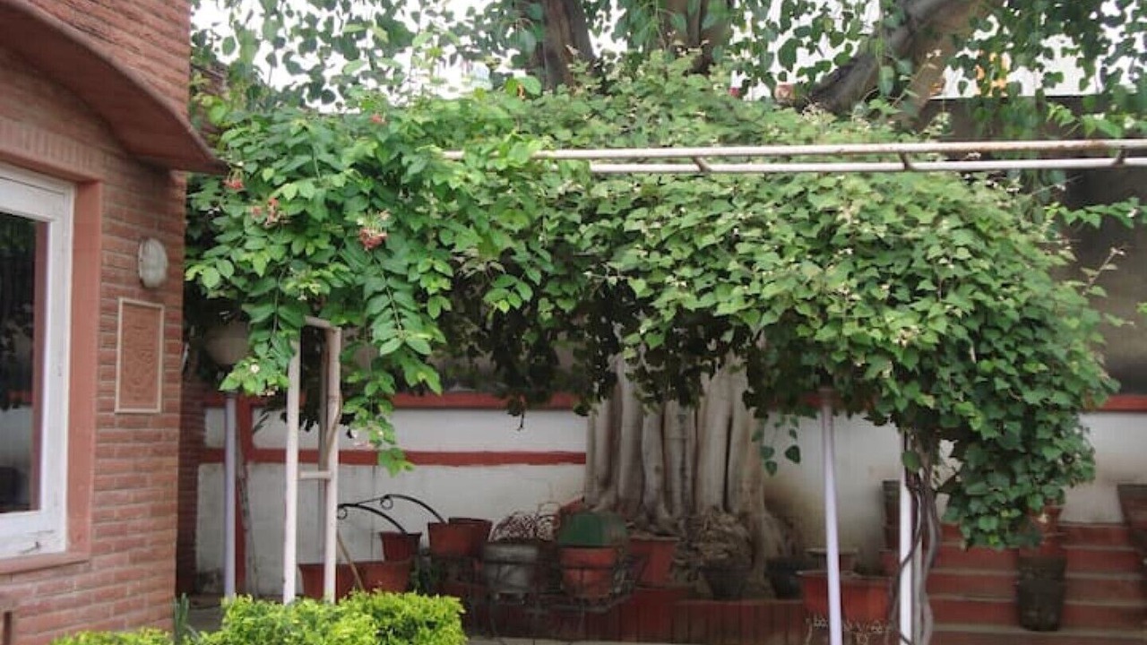 Photo of Outdoor in Agra