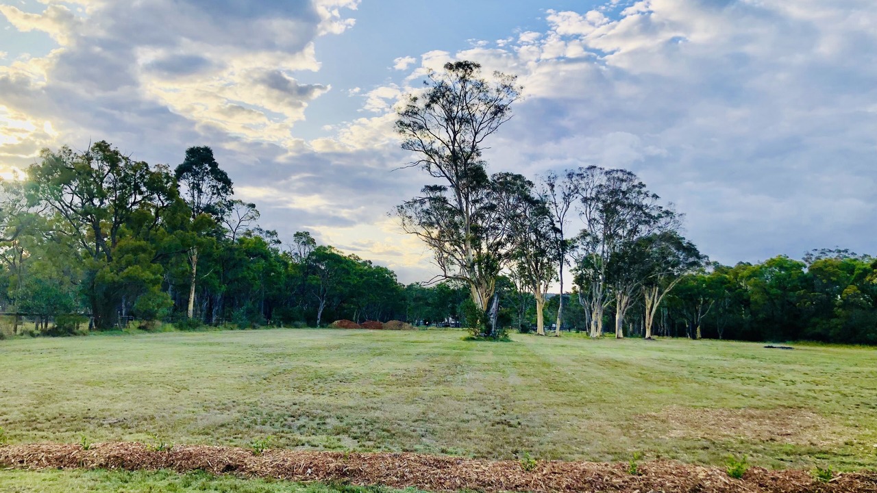 Photo of Outdoor in Castlereagh