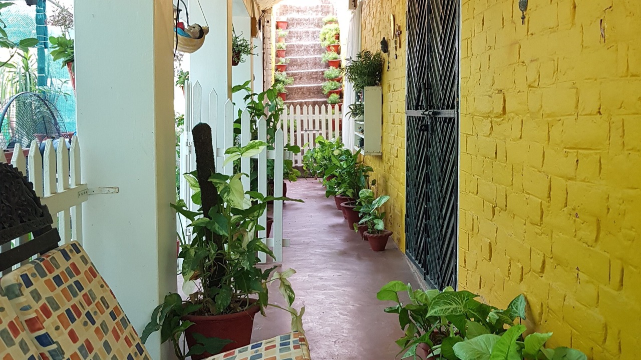 Photo of Patio Balcony in Mohanlalganj
