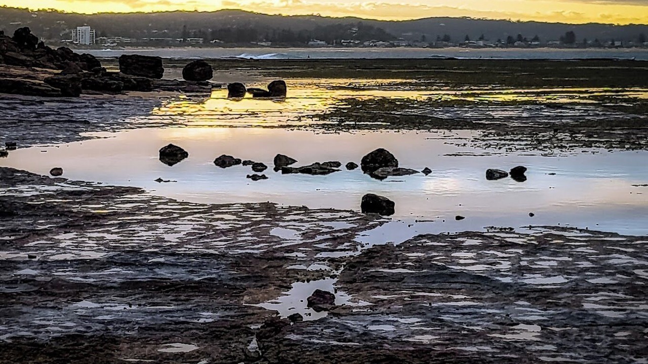Photo of Others in Collaroy