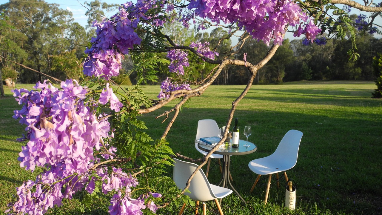 Photo of Outdoor in Mulgoa