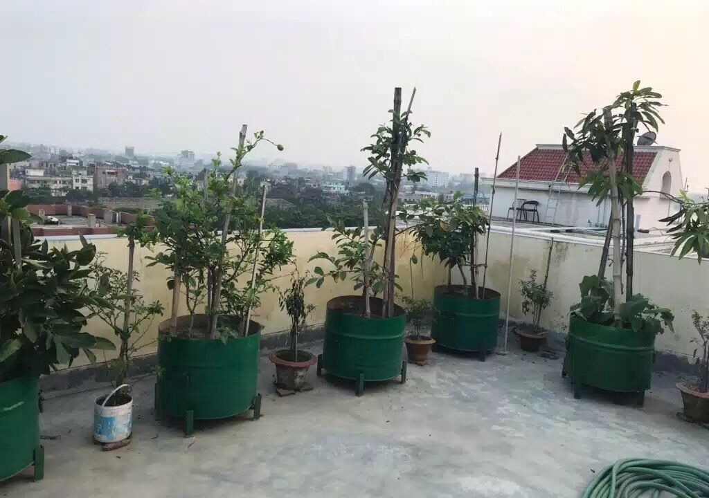 Photo of Outdoor in Uttara