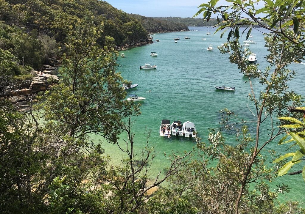 Photo of Others in Manly