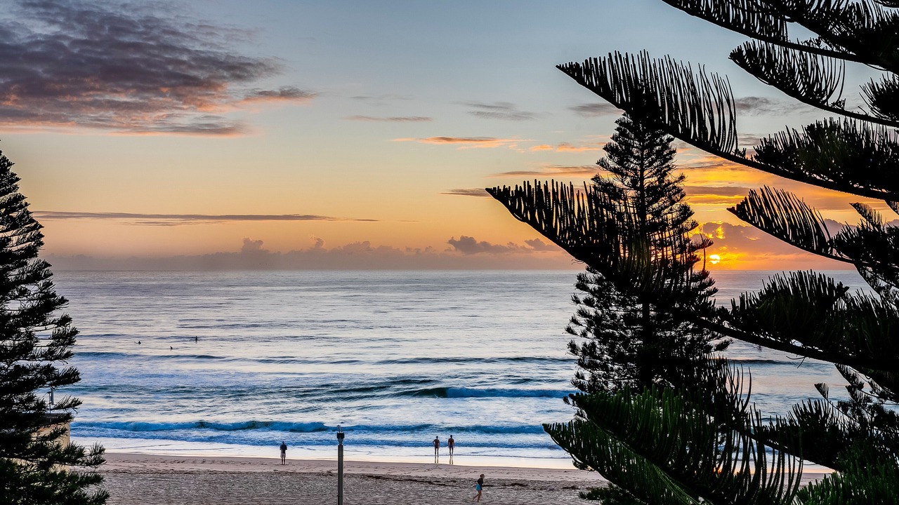 Photo of Bedroom in Manly