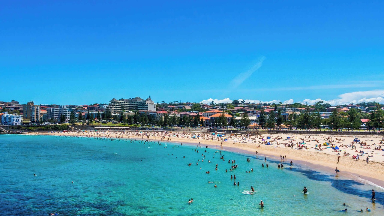 Photo of Others in Coogee