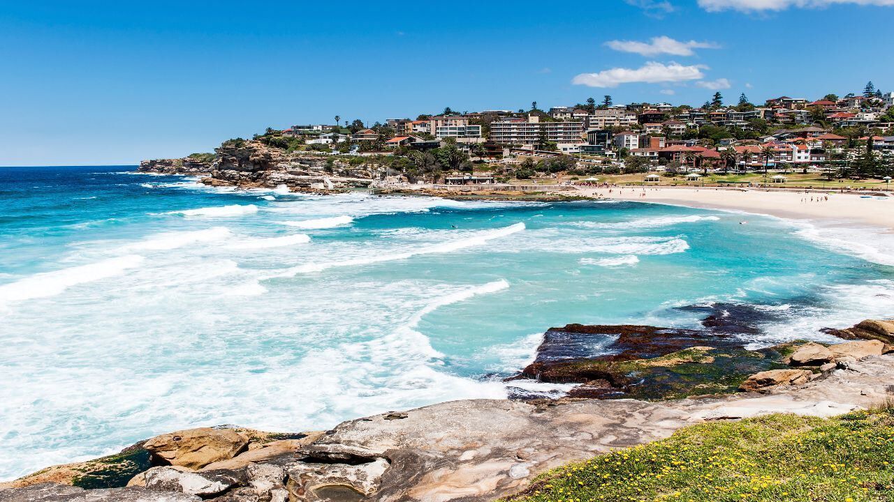 Photo of Others in Bronte