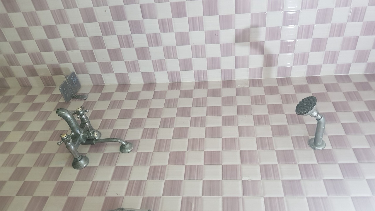 Photo of Bathroom in Agra